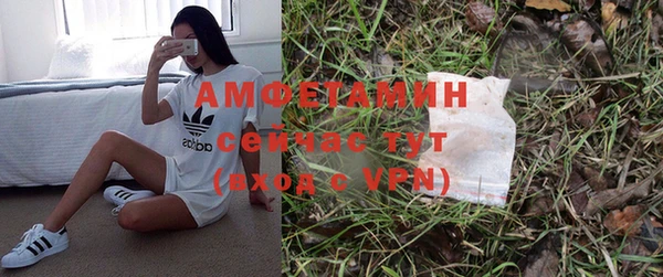 ГАЛЛЮЦИНОГЕННЫЕ ГРИБЫ Абаза