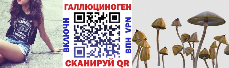 Псилоцибиновые грибы Psilocybe где купить наркоту MEGA ссылки Магнитогорск
