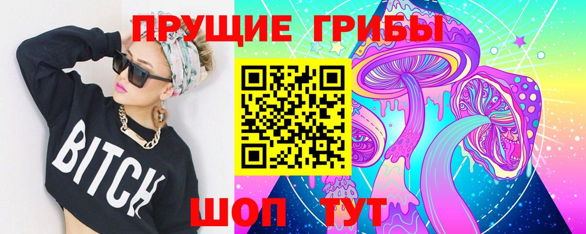 Псилоцибиновые грибы Psilocybe Магнитогорск